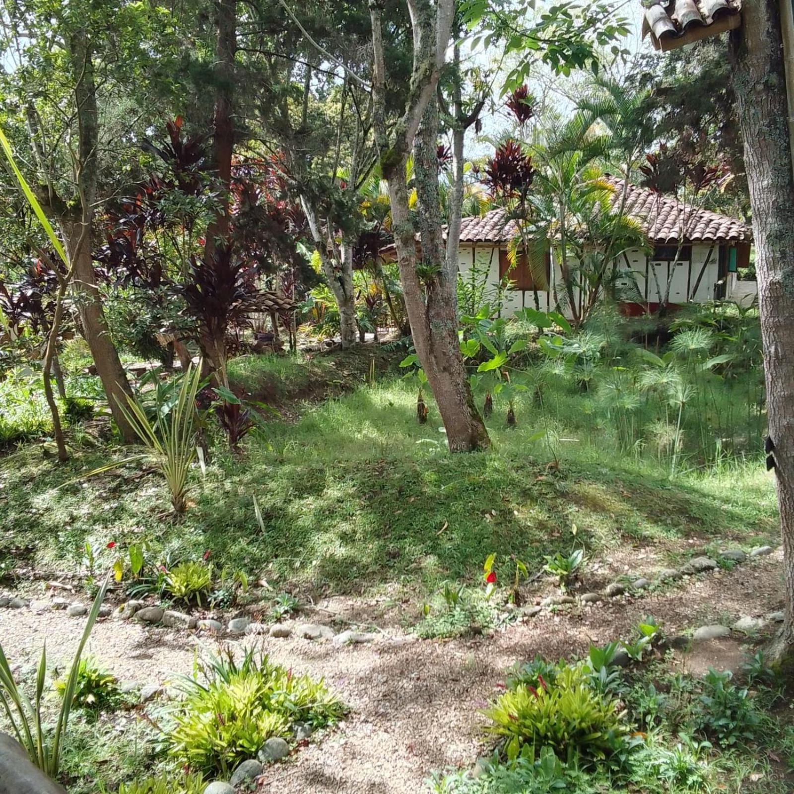 Hotel La Casa de Francois San Agustín Exterior foto
